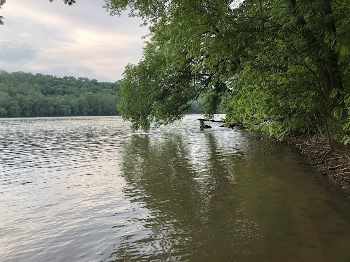 Turtle Run Hiker Biker Campsite 5