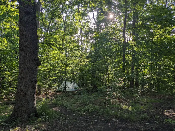 Crampton Gap Campsite 0
