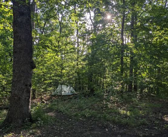 Crampton Gap Campsite