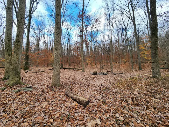 Crampton Gap Campsite 1