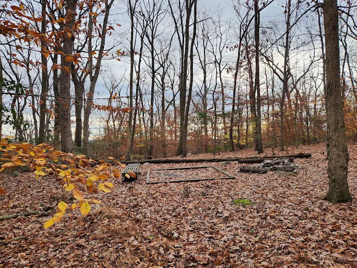 Crampton Gap Campsite 8
