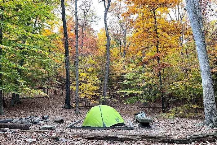 Crampton Gap Campsite 3