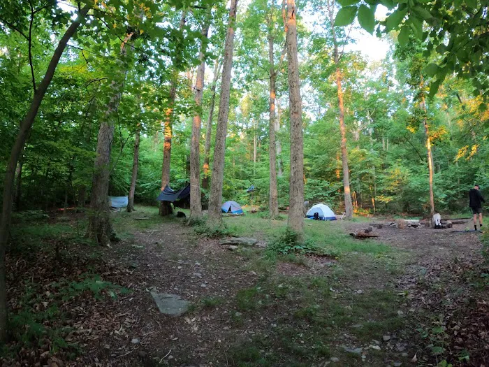 Crampton Gap Campsite 5