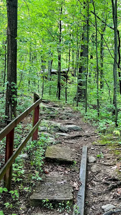 The Treehouse Camp At Maple Tree LLC 3