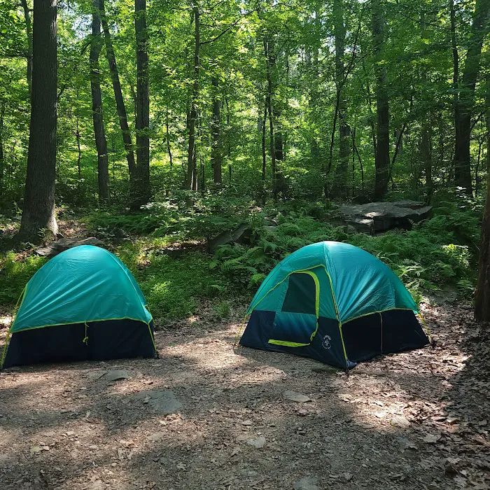 The Treehouse Camp At Maple Tree LLC 9