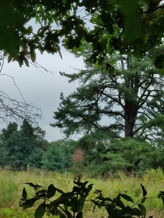 Dahlgren Backpacker Campground 3