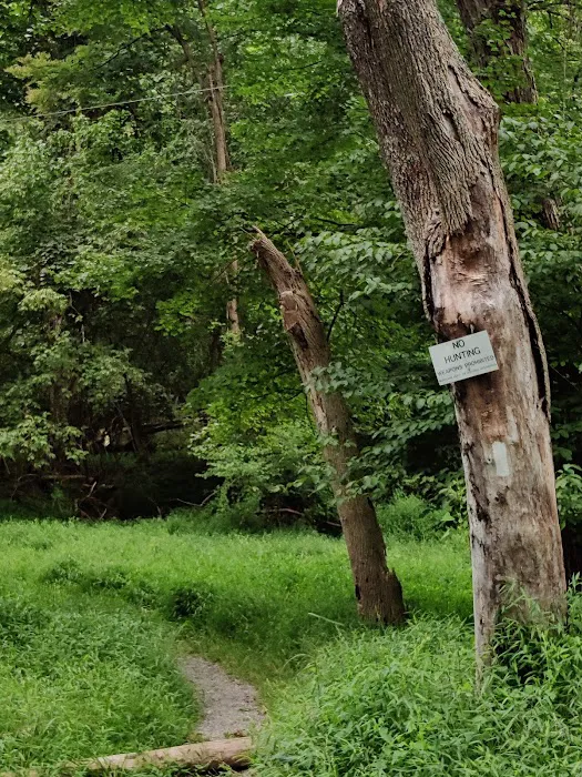 Dahlgren Backpacker Campground 2