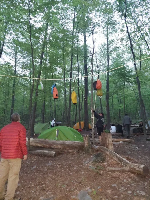 Pogo Memorial Campsite 7