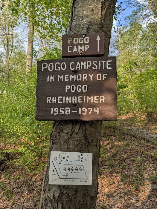 Pogo Memorial Campsite 2