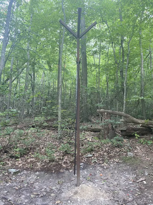 Pogo Memorial Campsite 5