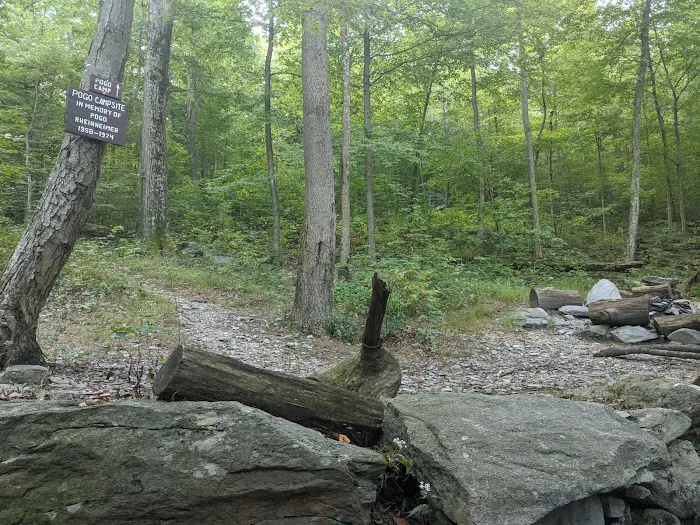 Pogo Memorial Campsite 1