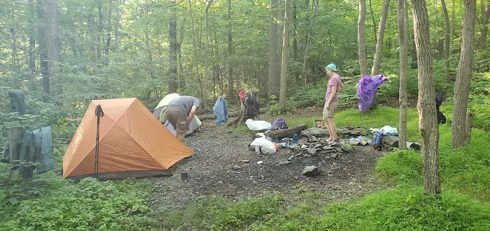 Pogo Memorial Campsite 6
