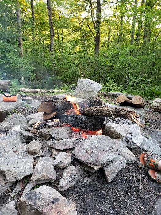 Pogo Memorial Campsite 0