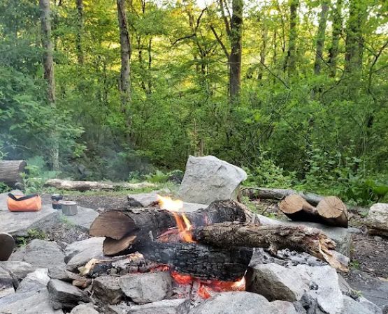 Pogo Memorial Campsite