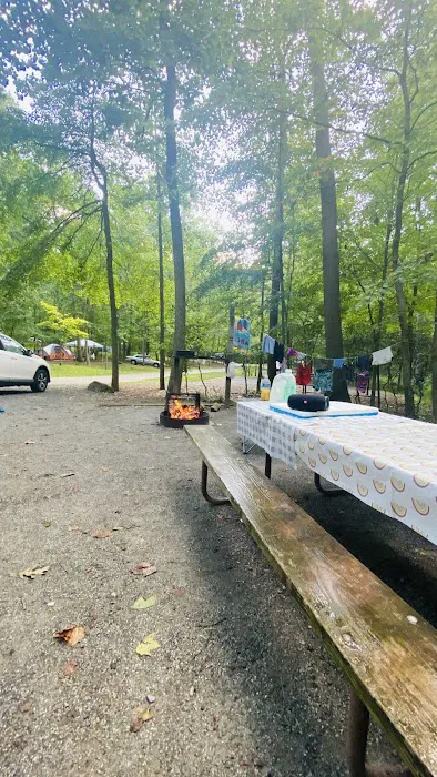 Ash Campground 3