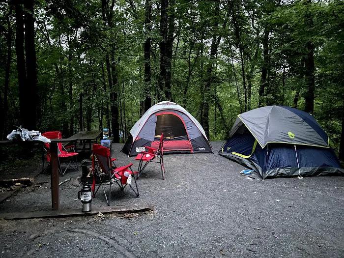 Birch Campground 7