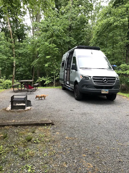 Dogwood Campground 8