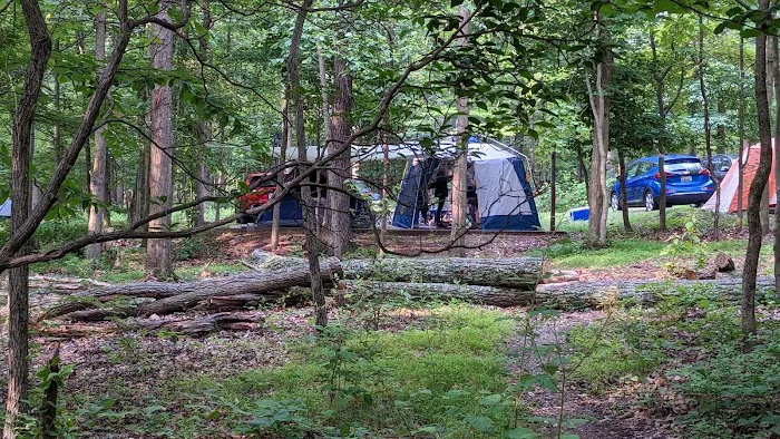 Dogwood Campground 9