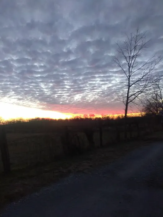 Sunshine Mobile Home Park 0