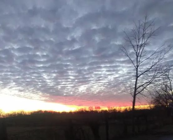 Sunshine Mobile Home Park