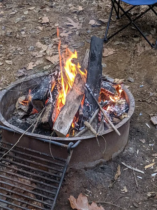 Rohrbach Group Campground 5