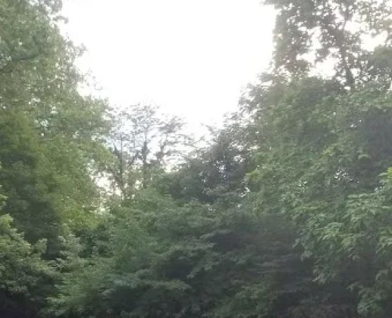 Lazy Dayz Riverfront Campground