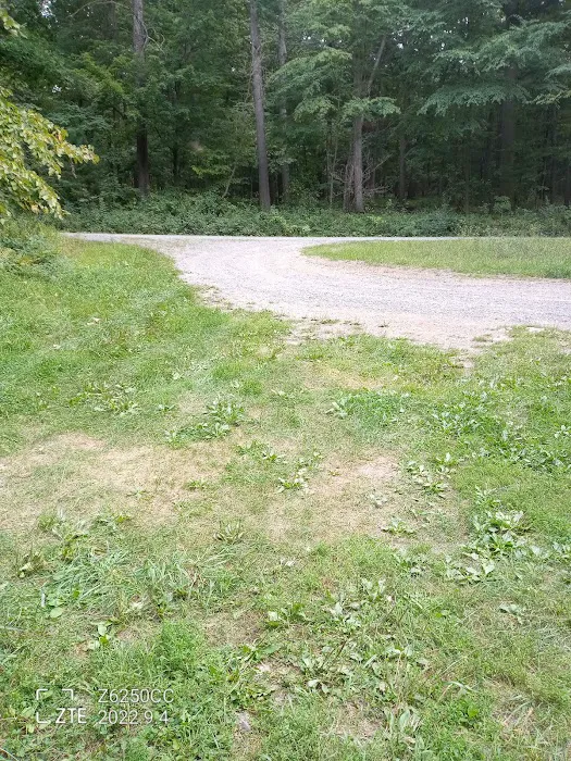 Rothrock State Forest Campsite #2 7