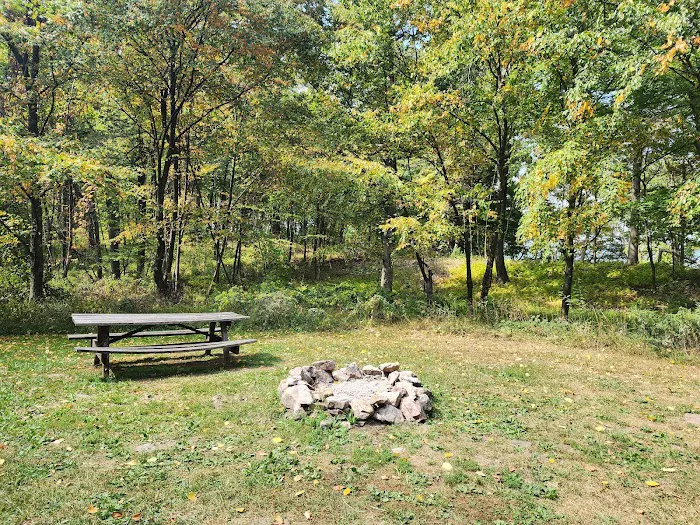 Rothrock State Forest Campsite #2 0