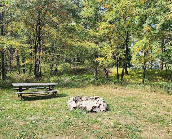 Rothrock State Forest Campsite #2