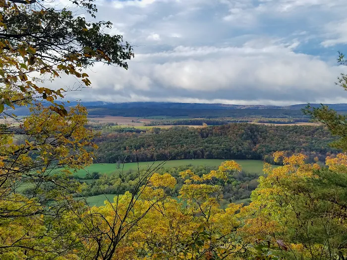 Rothrock State Forest Campsite #2 4