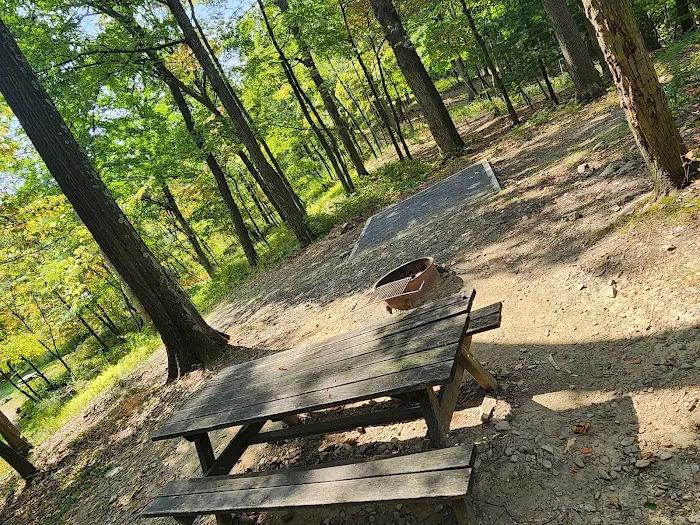 Rothrock State Forest Campsite #2 5