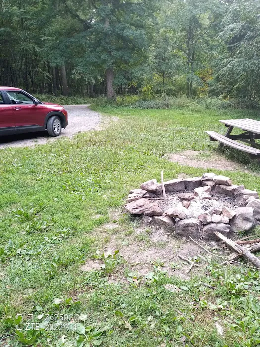 Rothrock State Forest Campsite #2 6