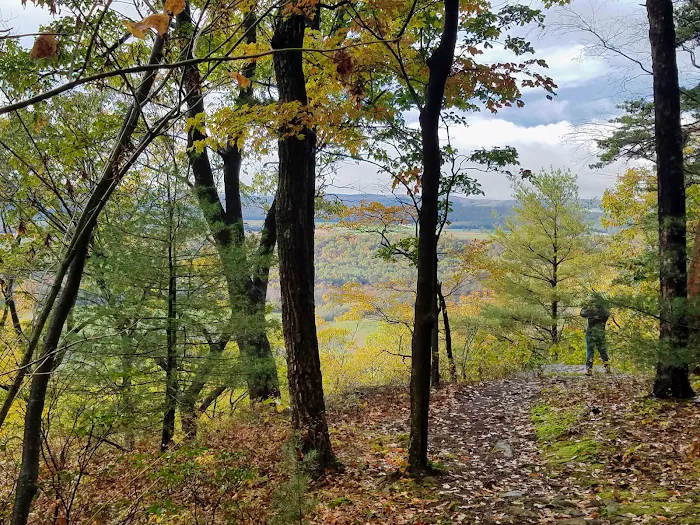 Rothrock State Forest Campsite #2 2