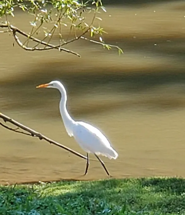 River Front Family Campground 3