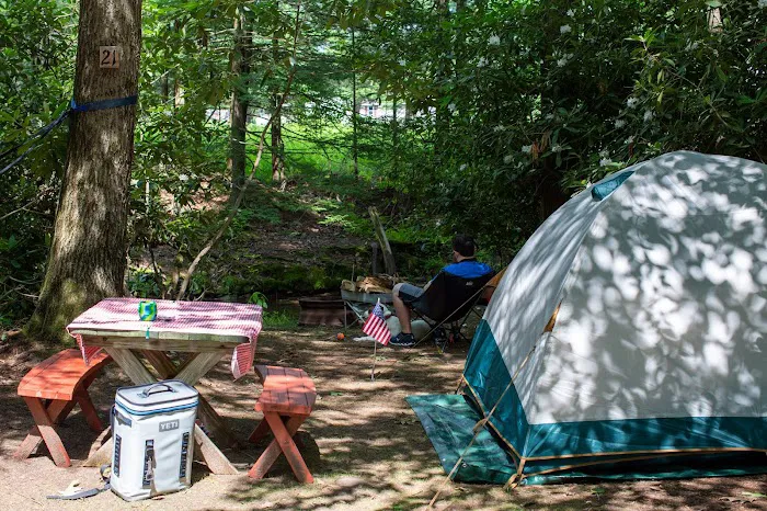 Bald Eagle Campsite 3