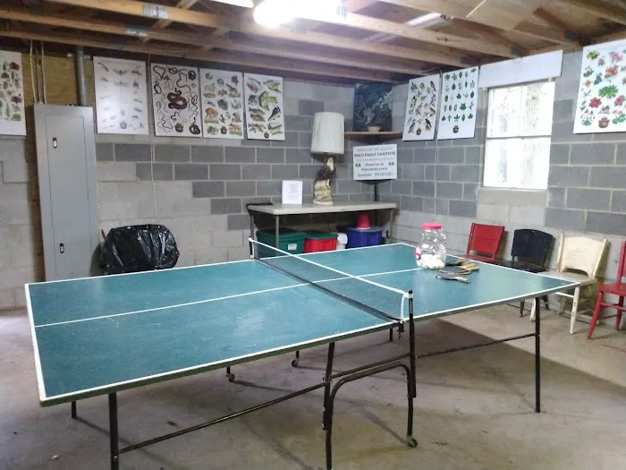 Bald Eagle Campsite 8