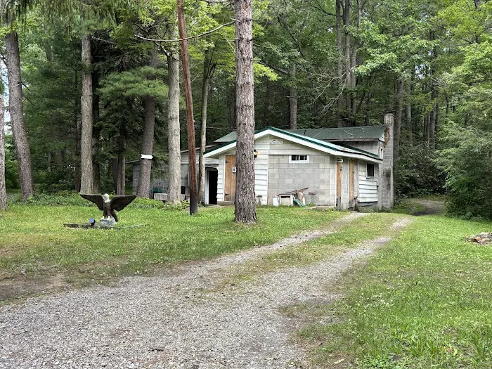 Bald Eagle Campsite 6