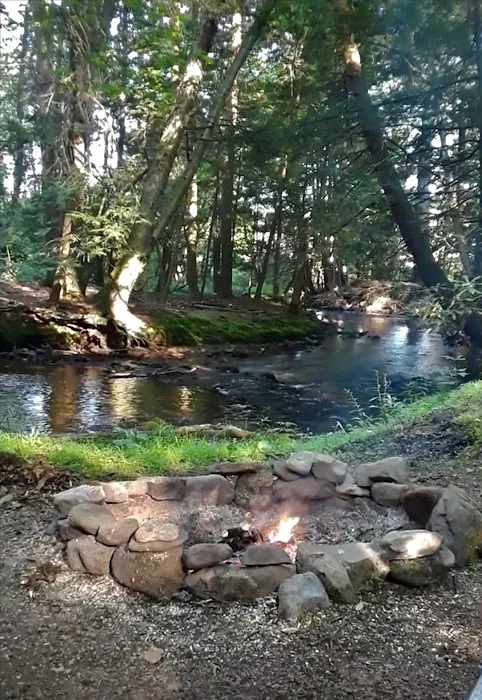 Bald Eagle Campsite 9