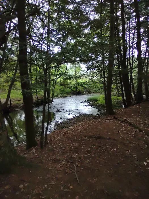 Bald Eagle Campsite 7