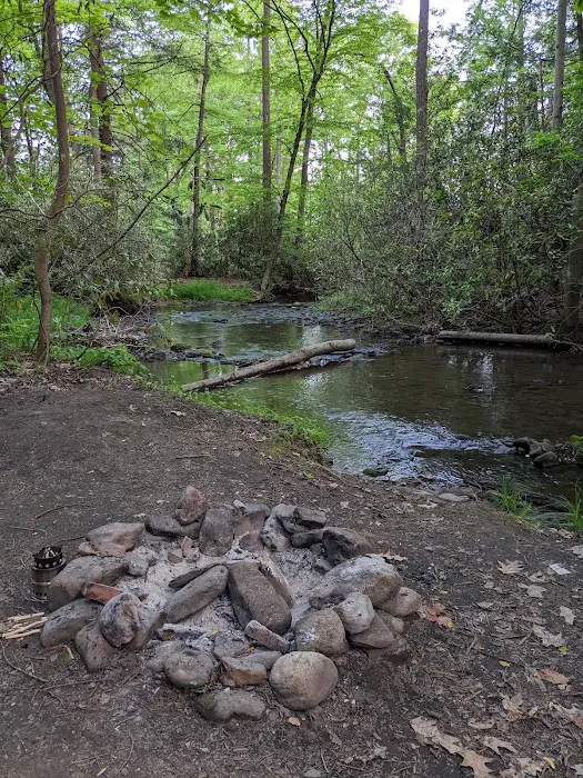 Bald Eagle Campsite 1