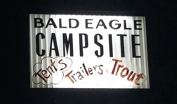 Bald Eagle Campsite 0