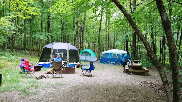 Honey Bear Campground 3