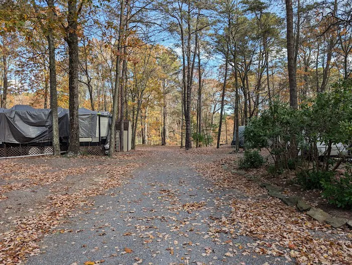 Honey Bear Campground 6