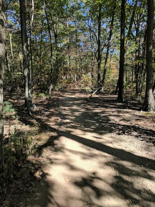 Susquehannock Campground - U.S. Army Corp of Engineers 8