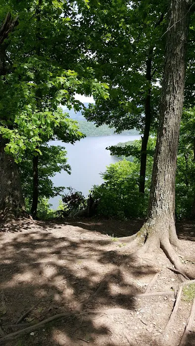 Woodland Camping Resort 4