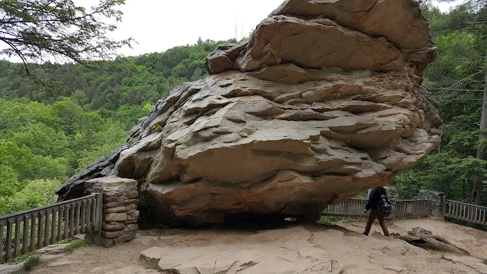 Woodland Camping Resort 0