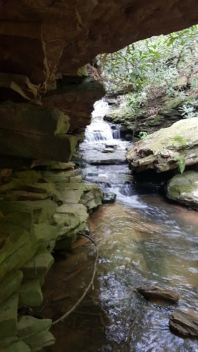 Woodland Camping Resort 7