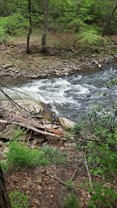 Woodland Camping Resort 5