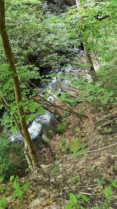 Woodland Camping Resort 2