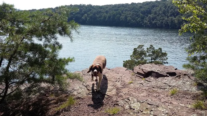 Seven Points Campground- Meadow Camp Loop 3